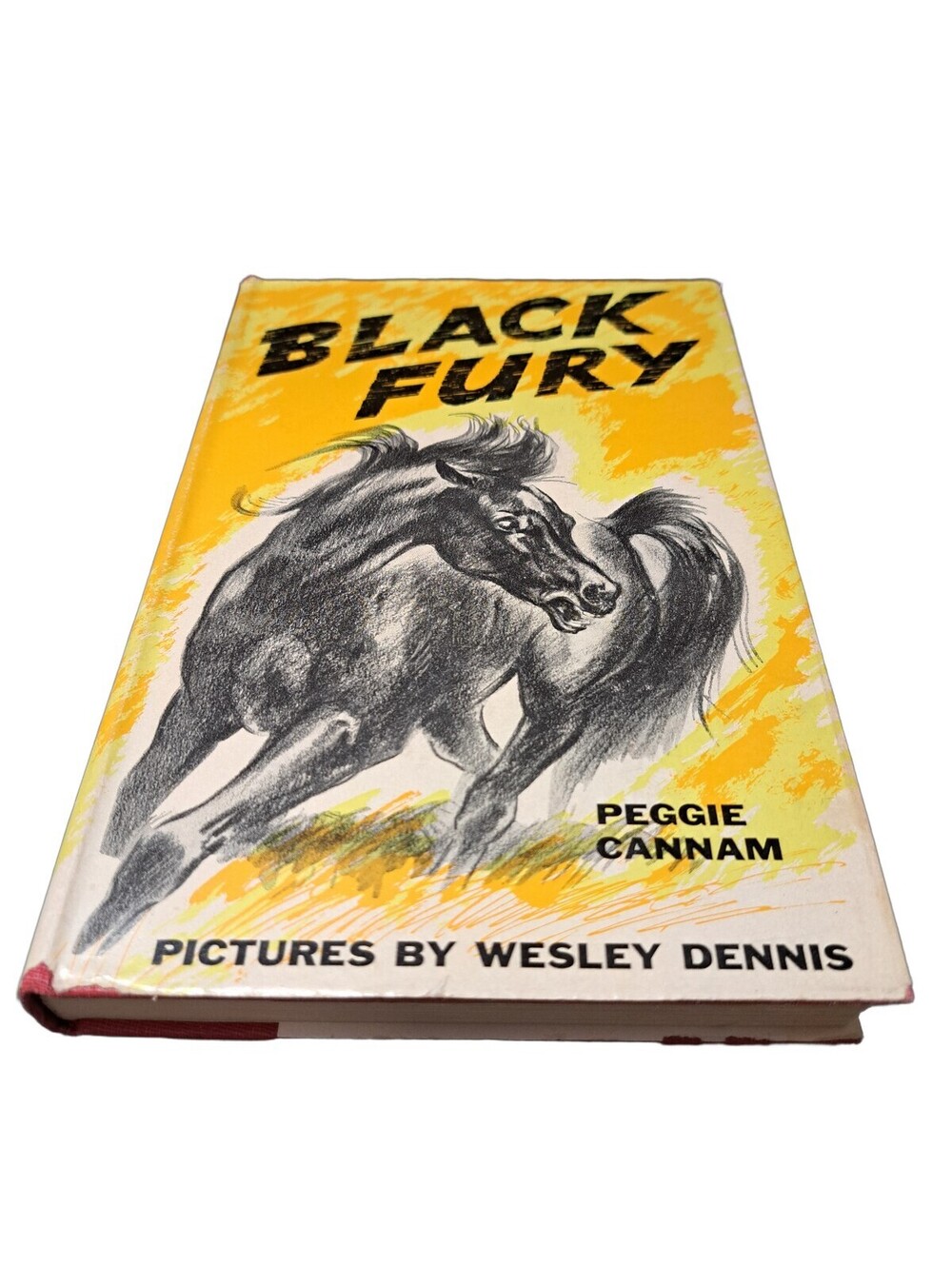 Vintage 1956 Black Fury book by Peggie Cannam